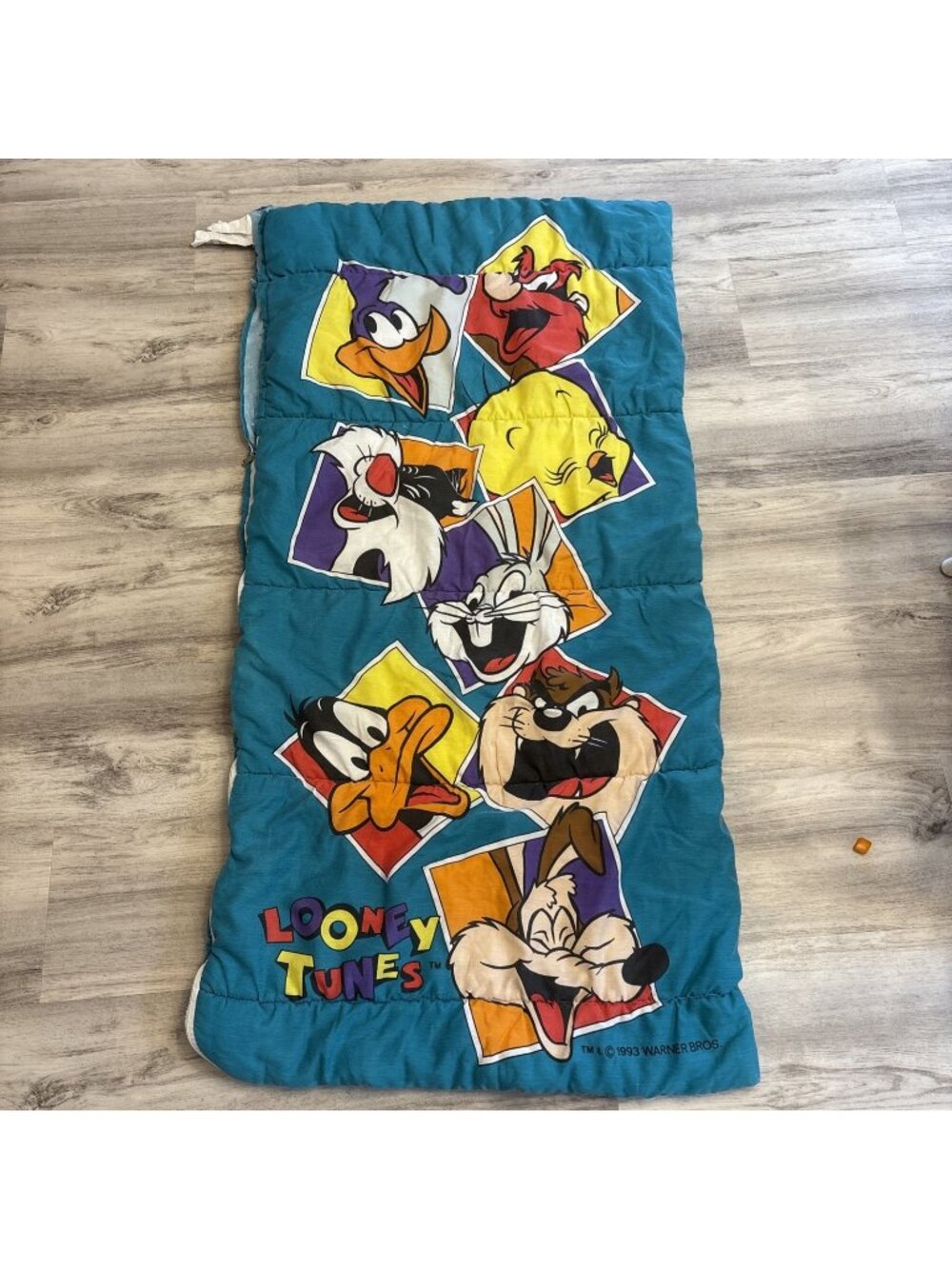 Vtg Looney Tunes WB Sleeping Bag Wile E Coyote Bugs Bunny Woody Teal Made In USA
